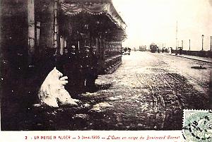 Alger - Boulevard Carnot - Ours en Neige - 1905